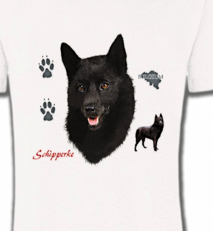 Schipperke (B)