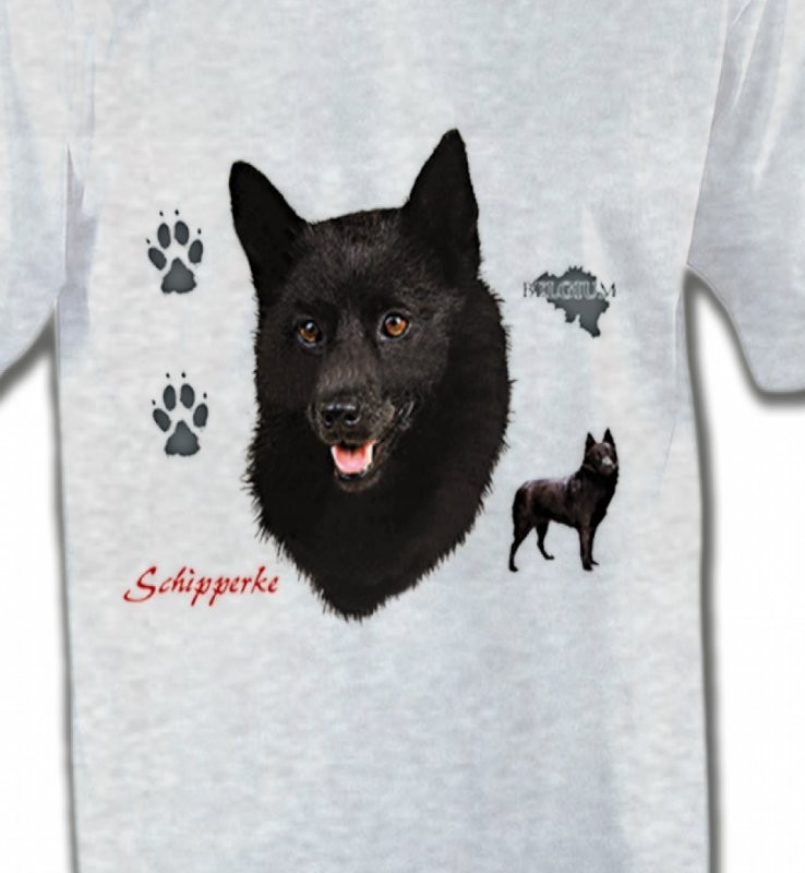 Schipperke (B)