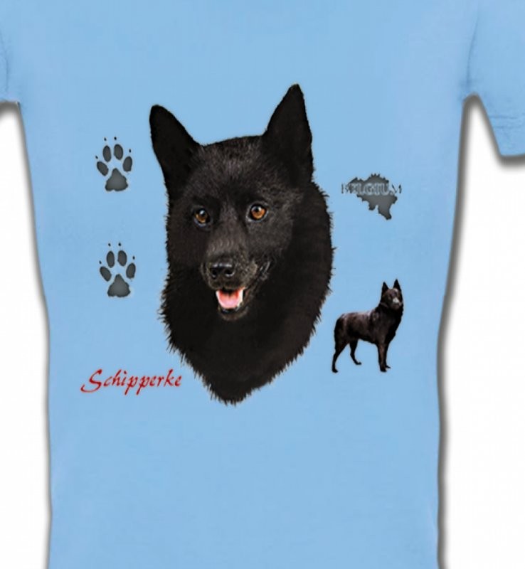 Schipperke (B)