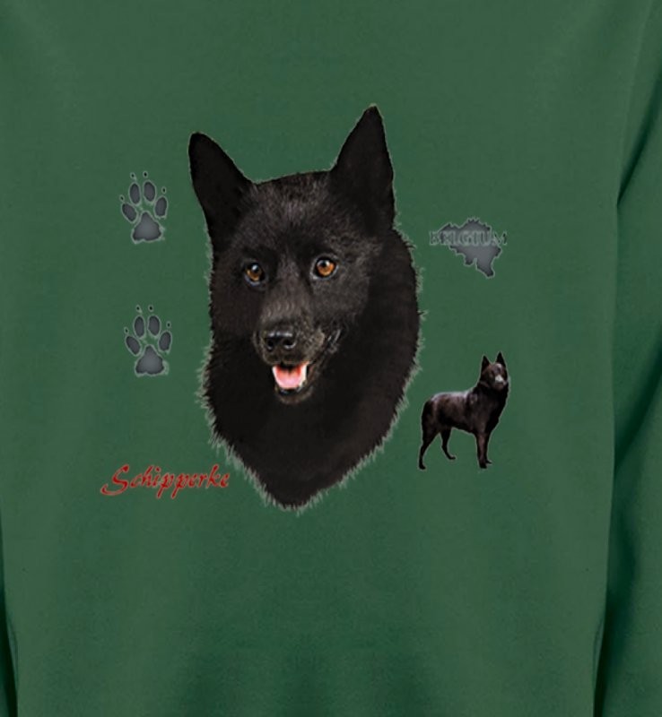 Schipperke (B)