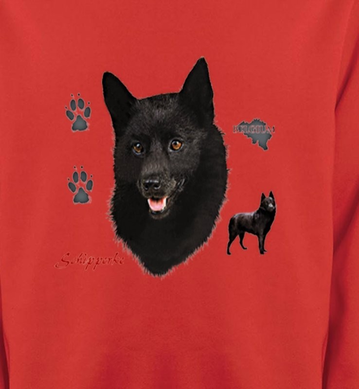 Schipperke (B)