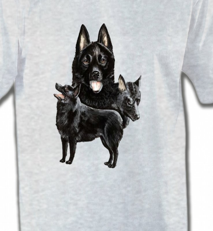 Schipperke (A)