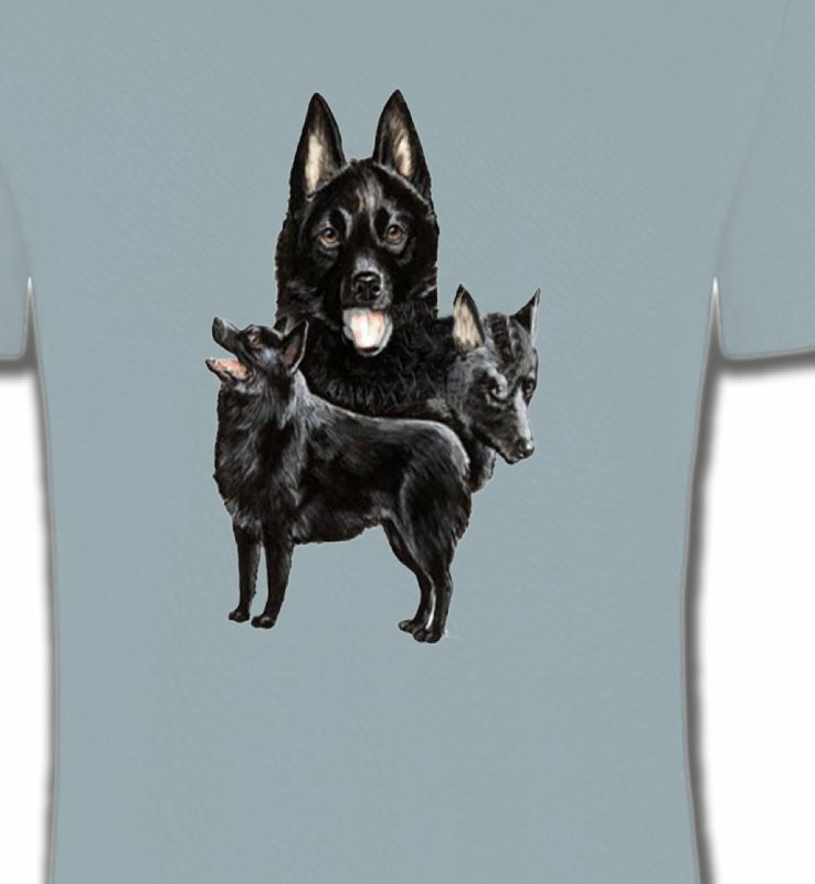 Schipperke (A)