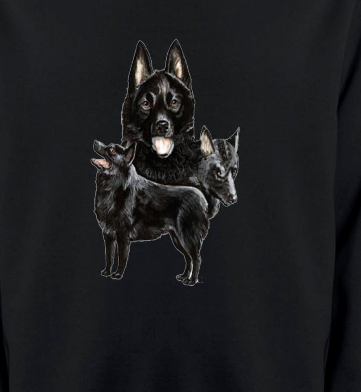 Schipperke (A)