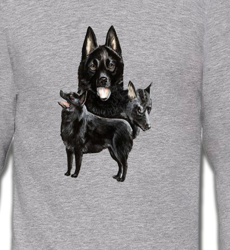 Schipperke (A)