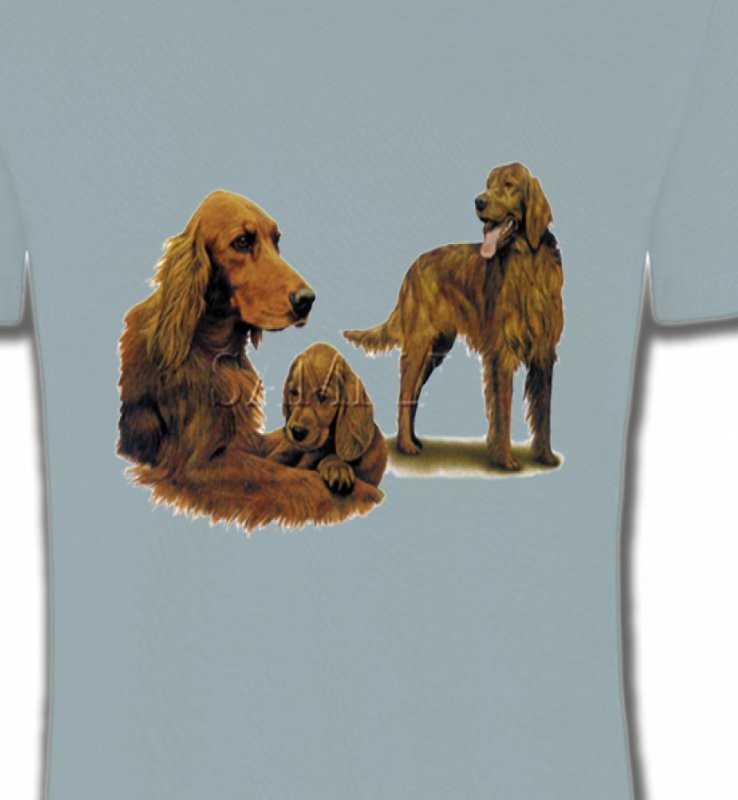 Setter brun (J)