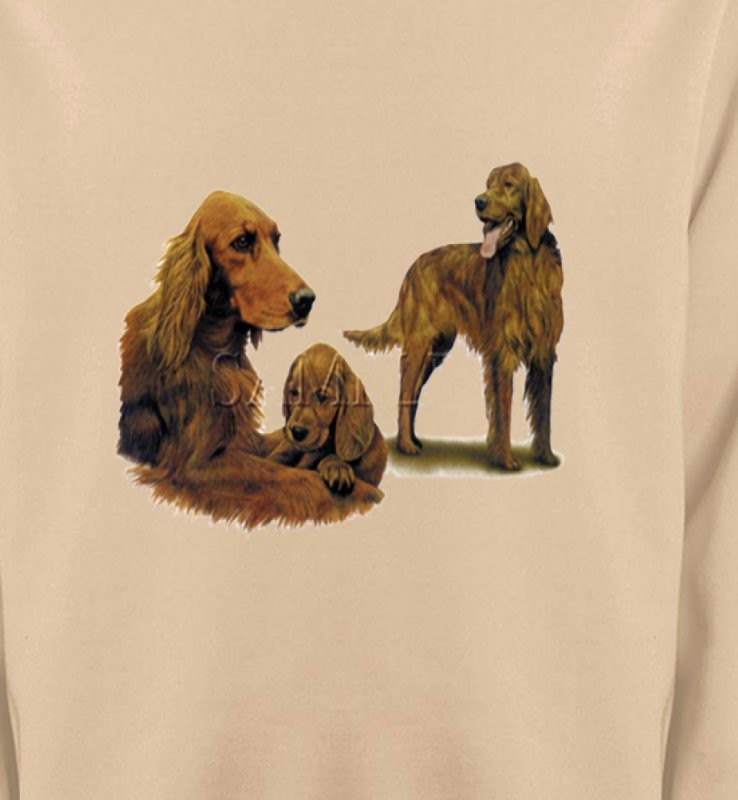 Setter brun (J)