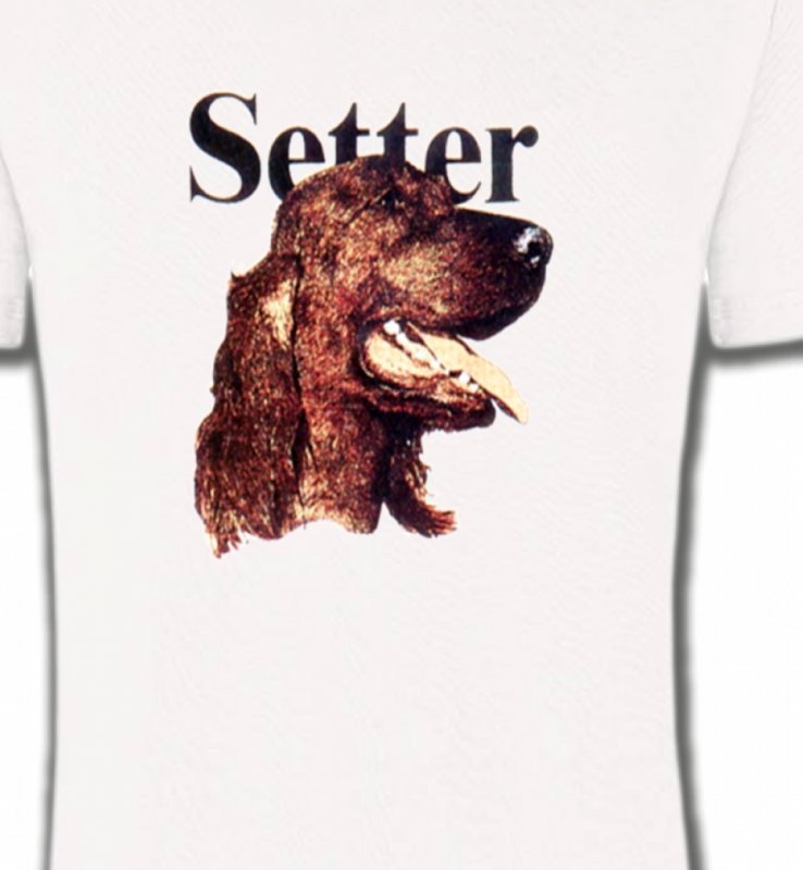 Setter (B)