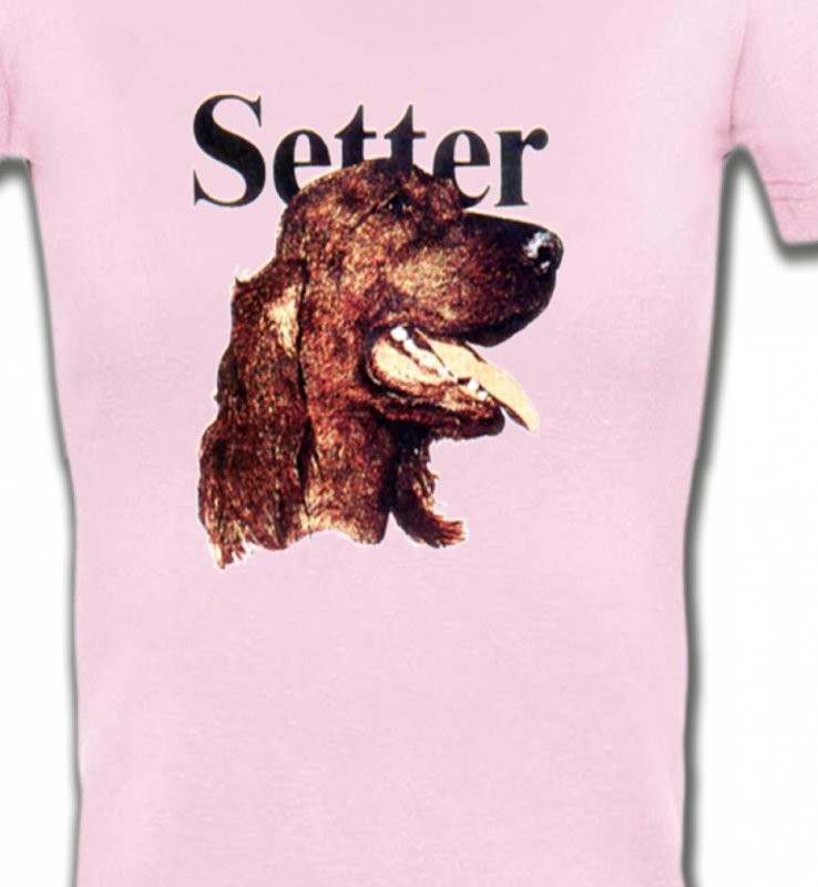 Setter (B)