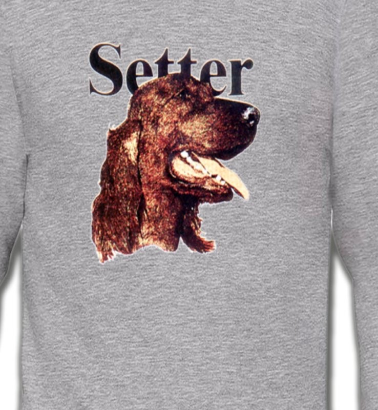 Setter (B)