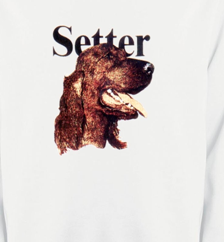 Setter (B)