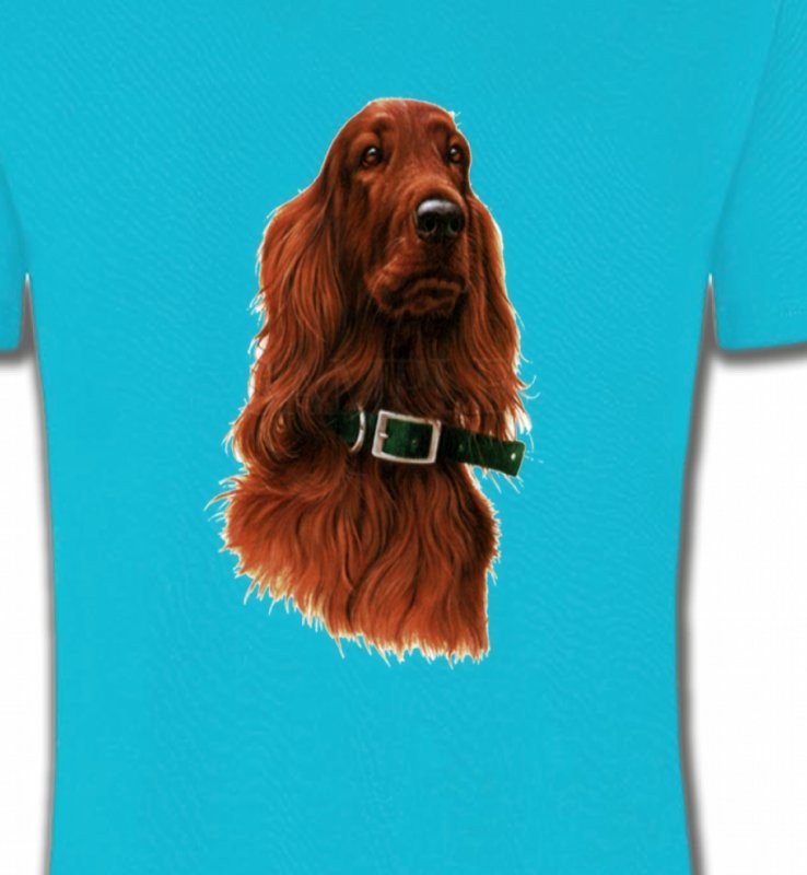 Setter brun (G)