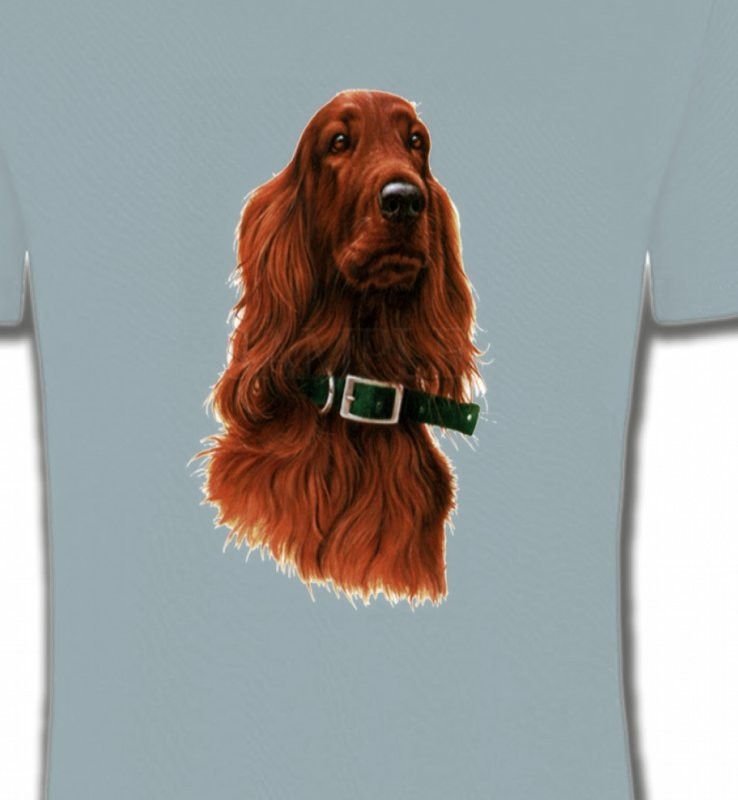 Setter brun (G)