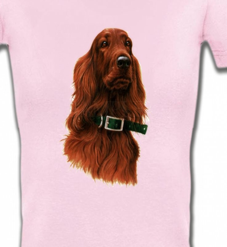 Setter brun (G)