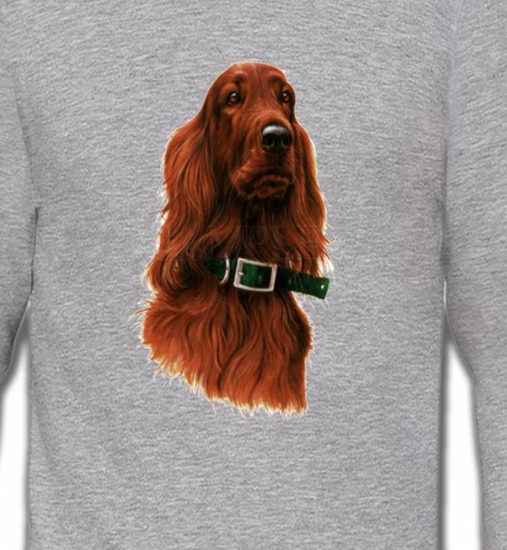 Setter brun (G)