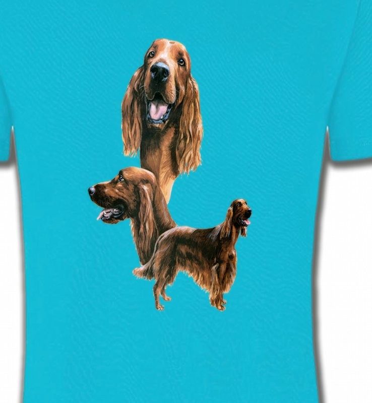 Setter