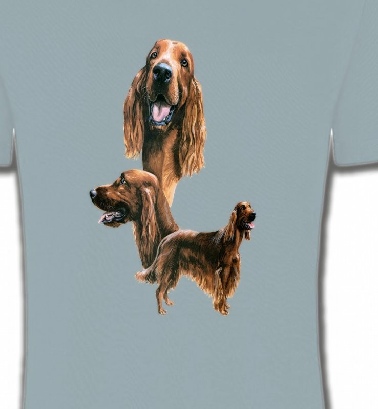 Setter