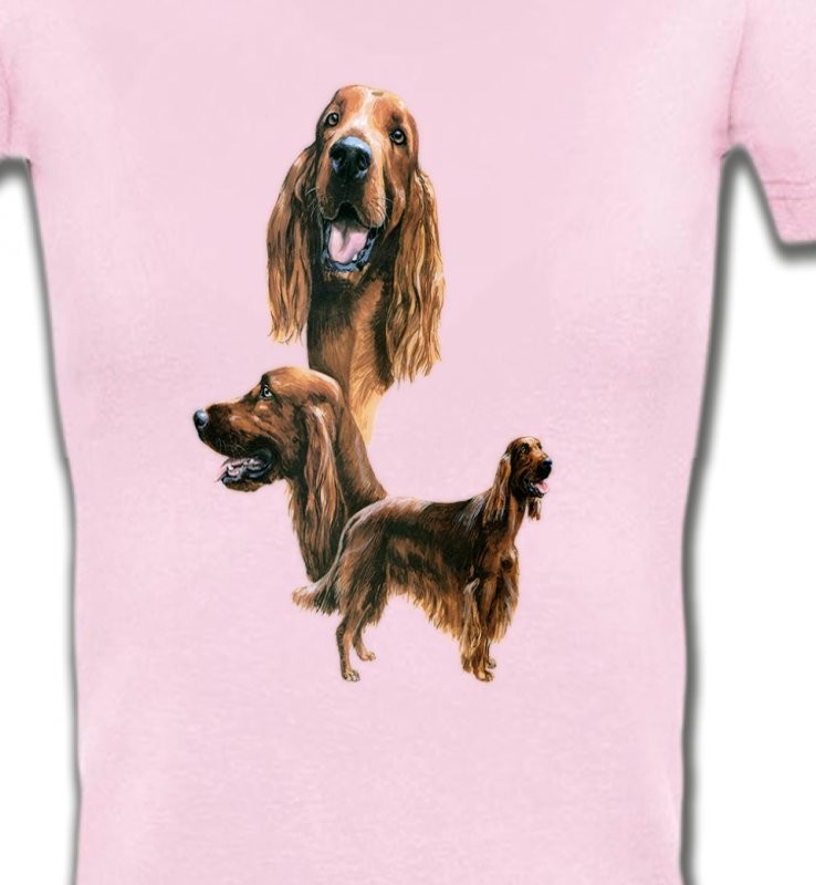 Setter