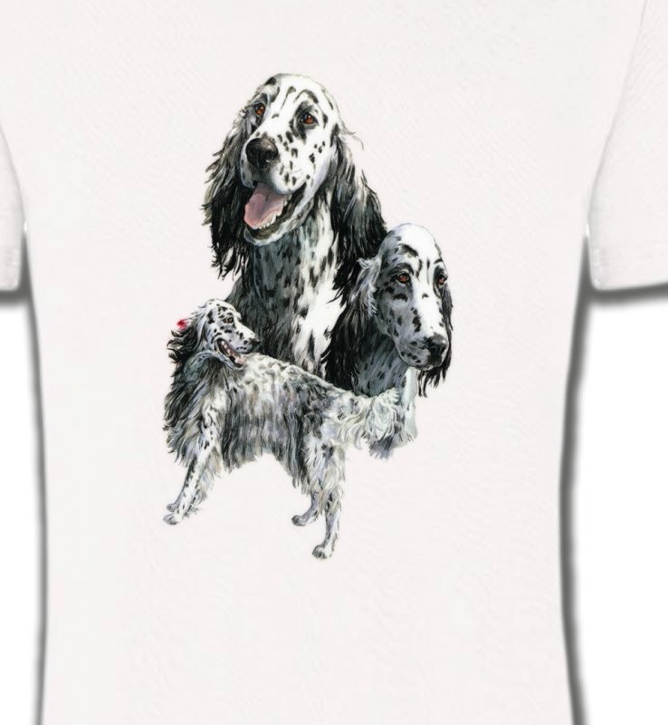 Setter anglais