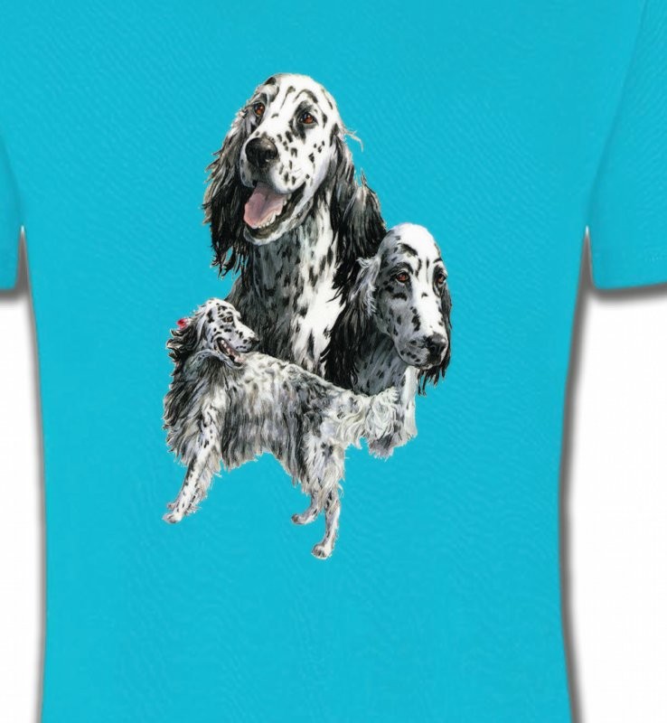 Setter anglais