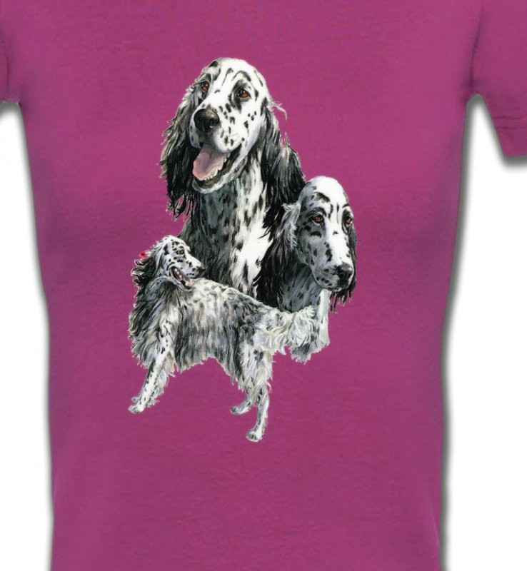 Setter anglais