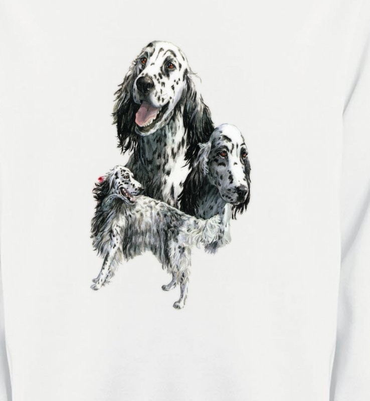 Setter anglais