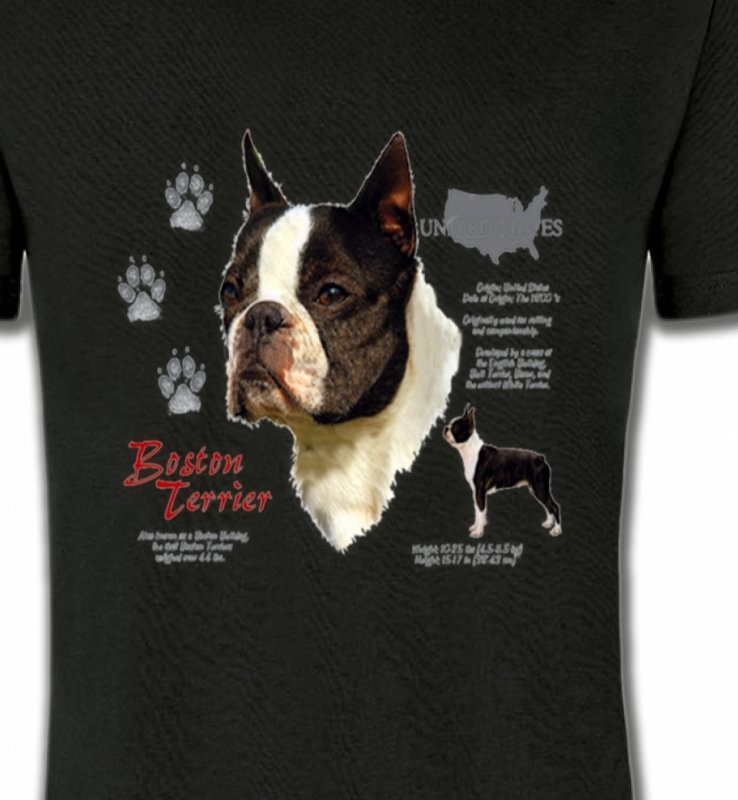 Boston Terrier (A)