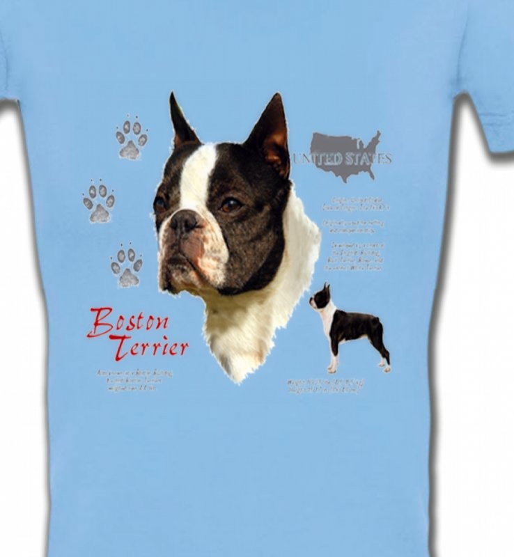 Boston Terrier (A)