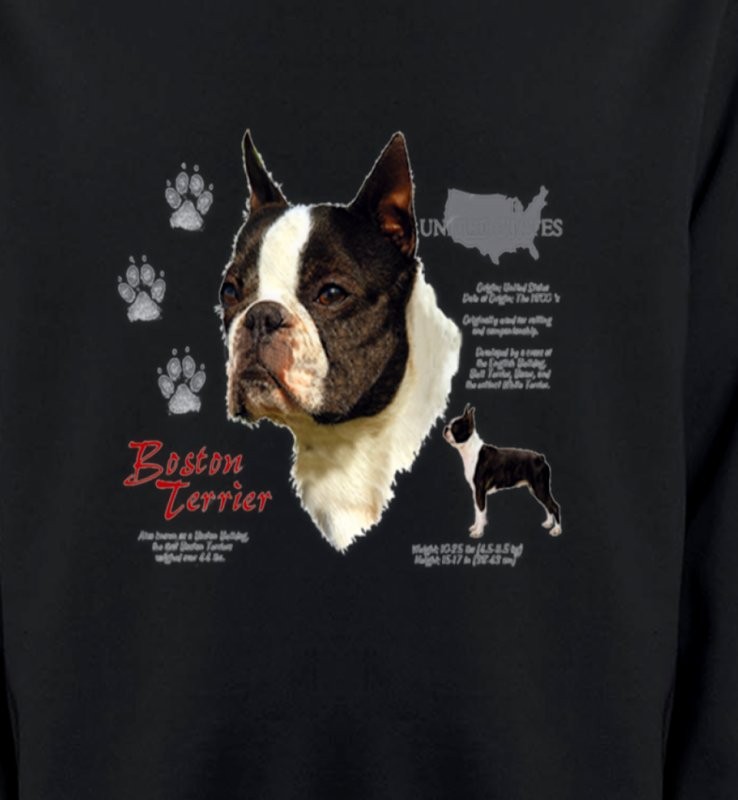 Boston Terrier (A)