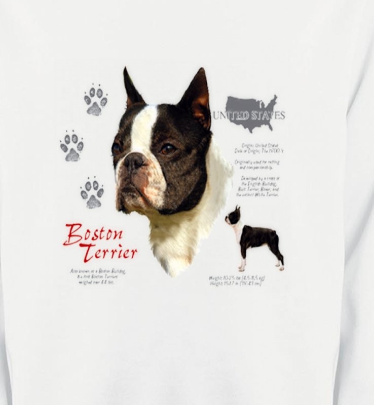 Boston Terrier (A)