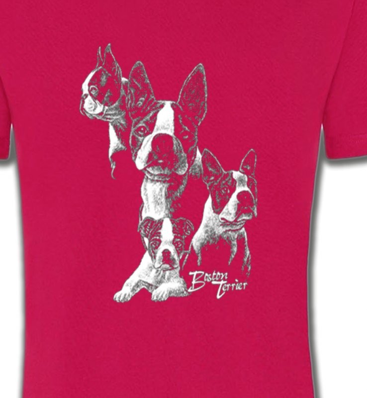 Boston Terrier (B)