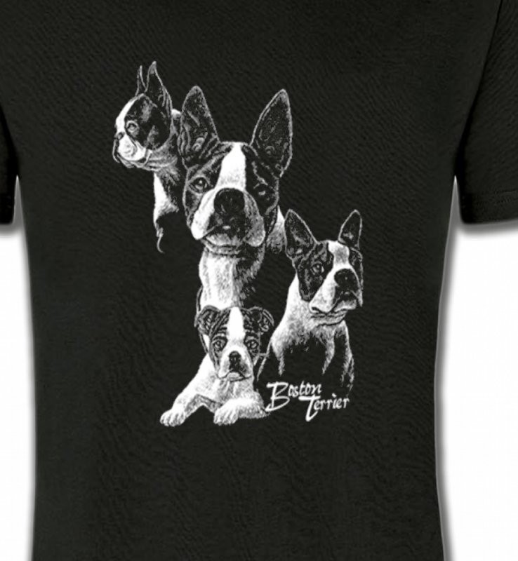 Boston Terrier (B)