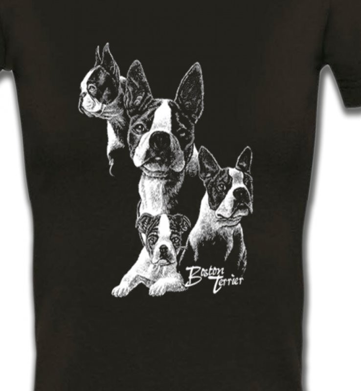 Boston Terrier (B)