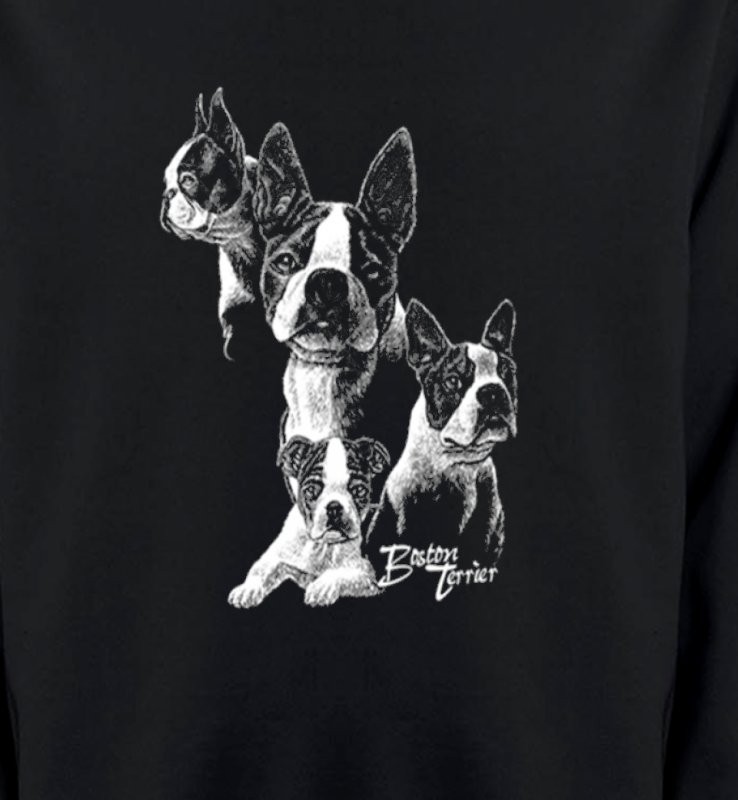 Boston Terrier (B)
