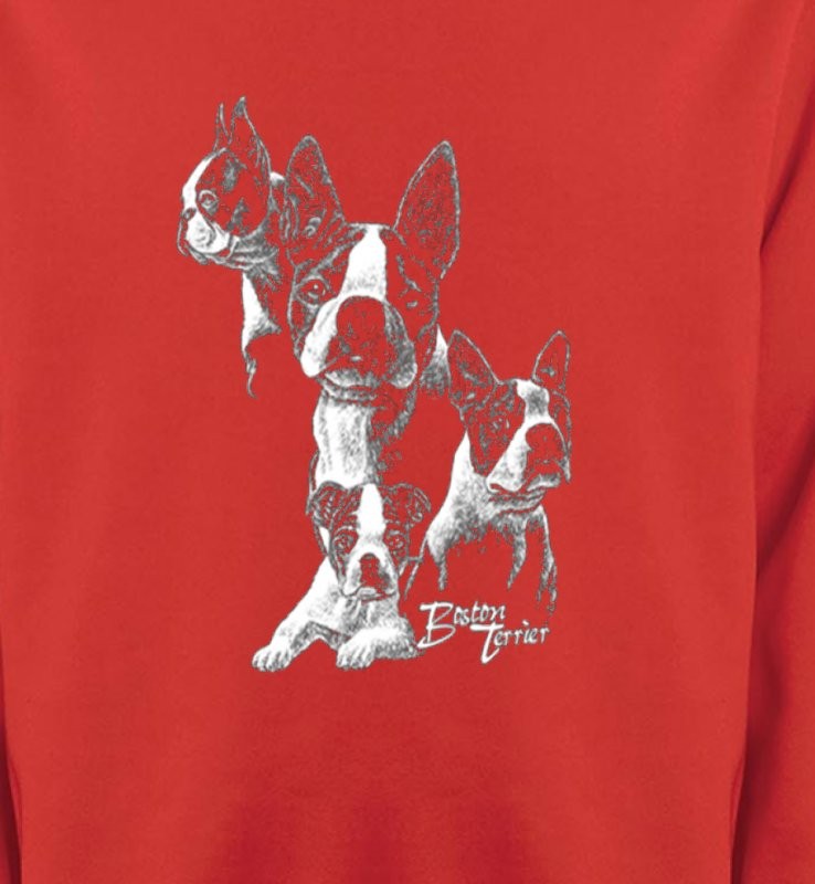 Boston Terrier (B)