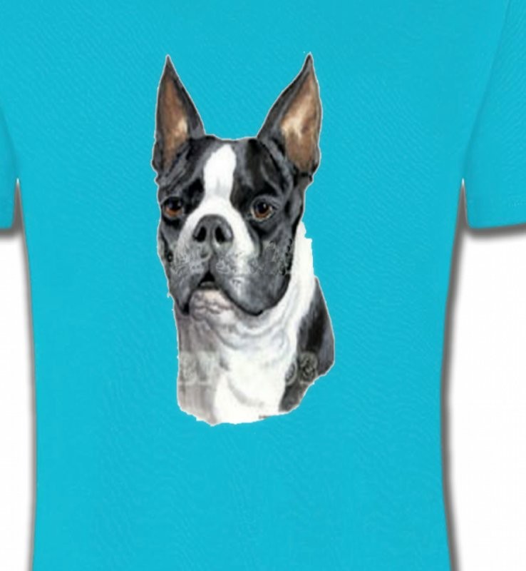 Boston Terrier (D)