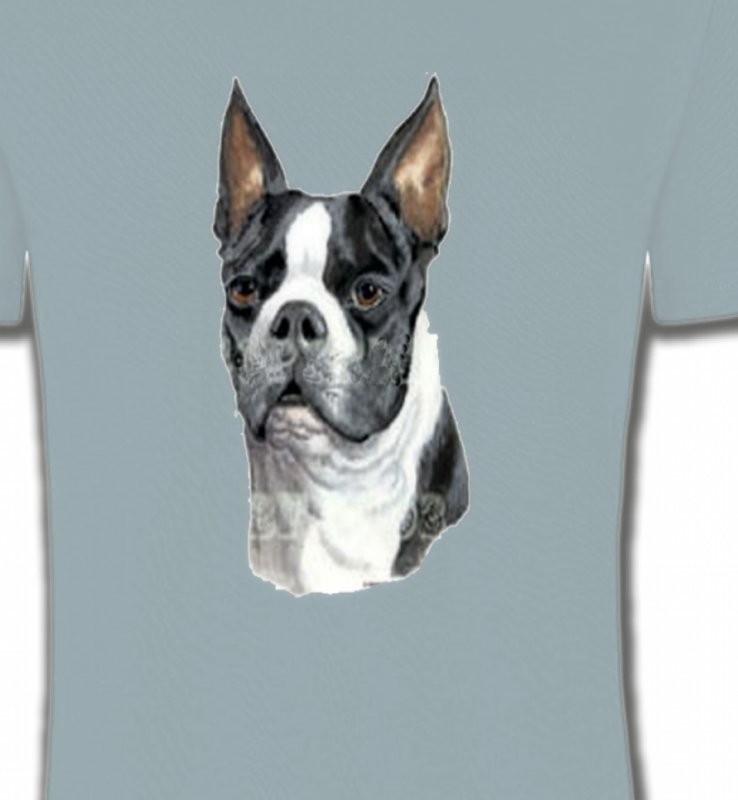 Boston Terrier (D)