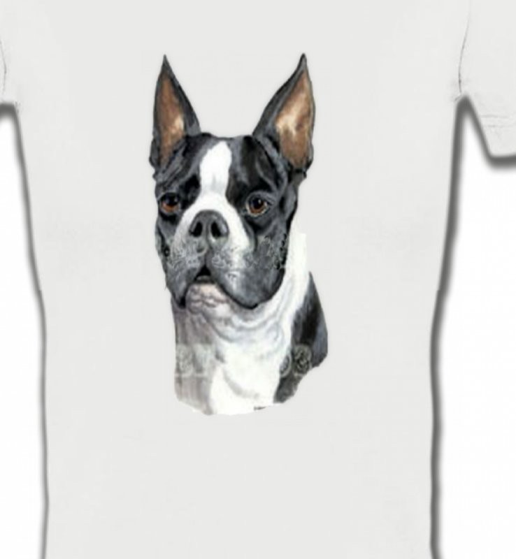 Boston Terrier (D)