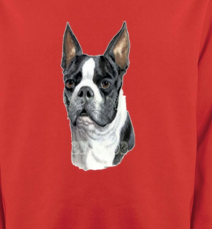 Boston Terrier (D)