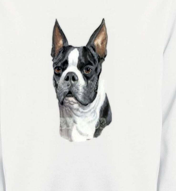 Boston Terrier (D)