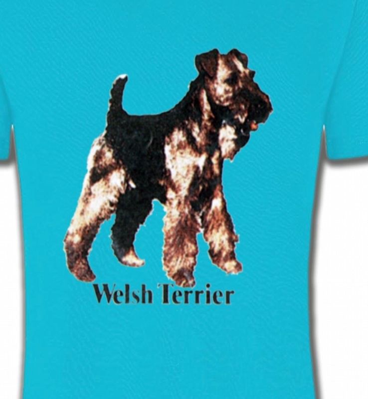 Welsh Terrier (F)