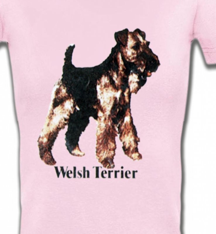 Welsh Terrier (F)