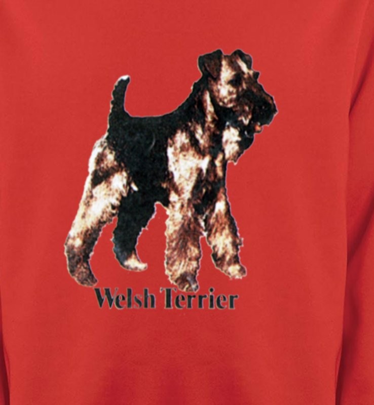 Welsh Terrier (F)