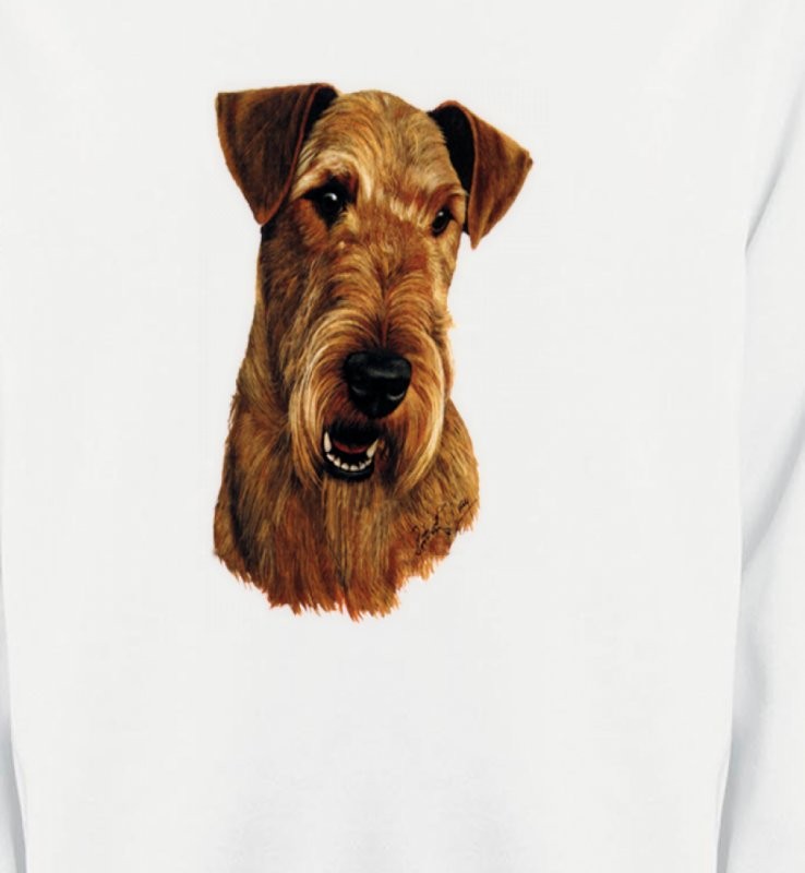 Welsh Terrier (L)