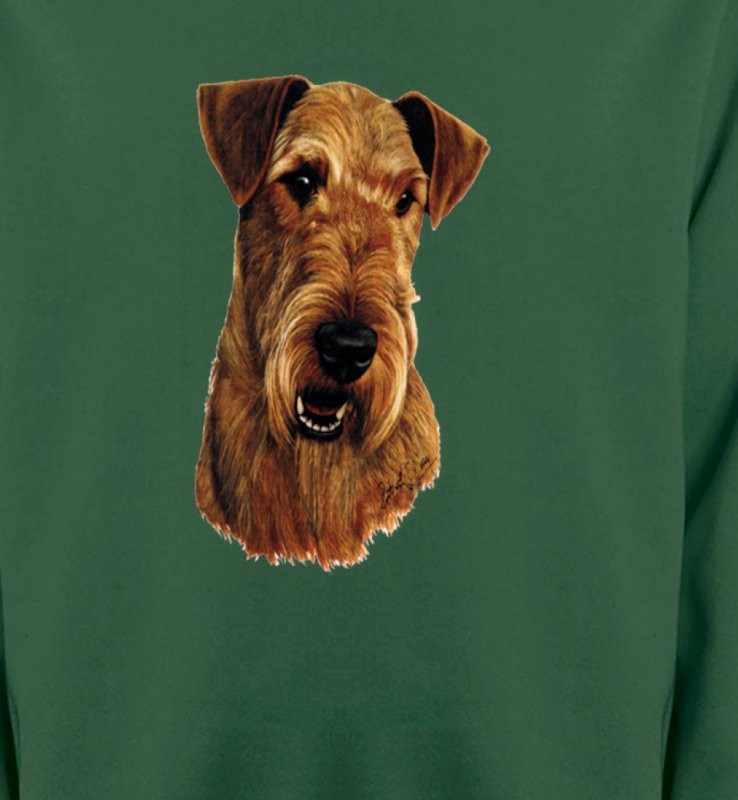 Welsh Terrier (L)