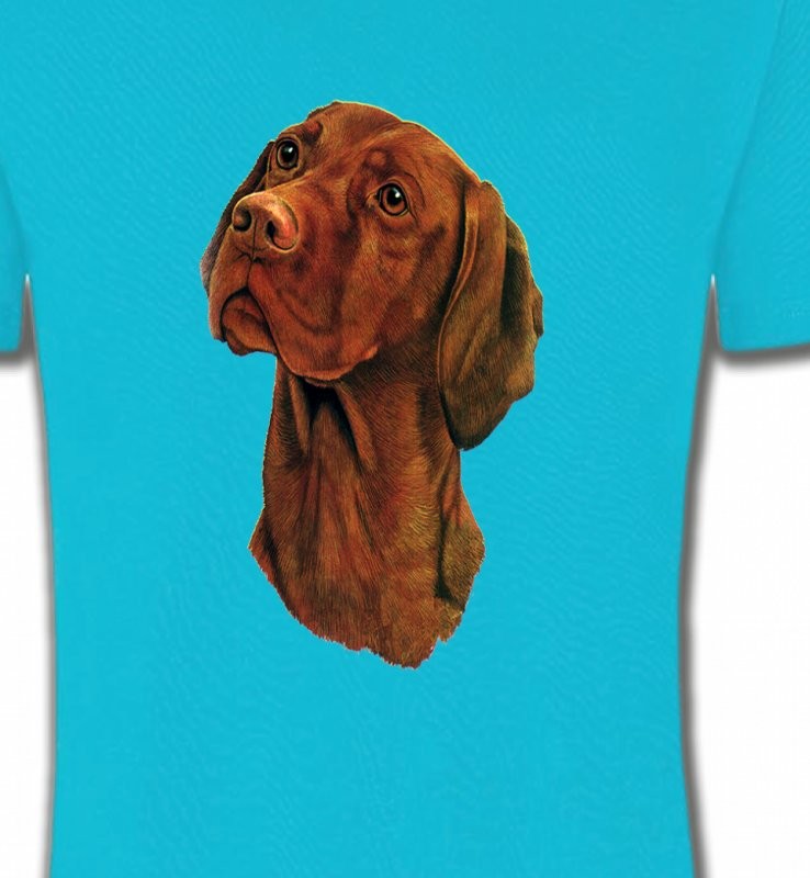 Vizsla hongrois
