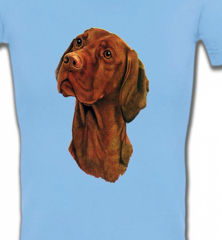 Vizsla hongrois