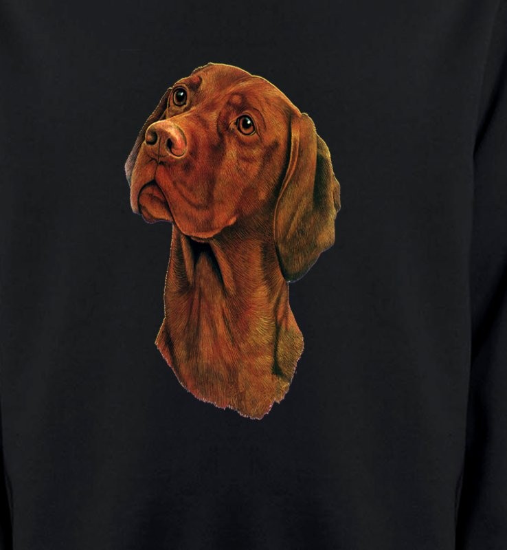 Vizsla hongrois