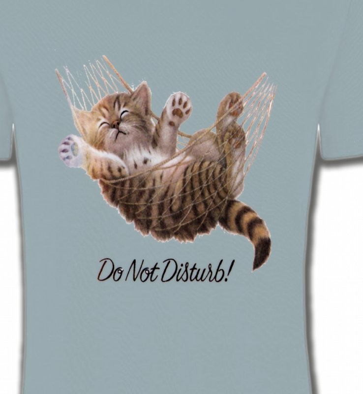 Chaton dans un hamac Do not disturb