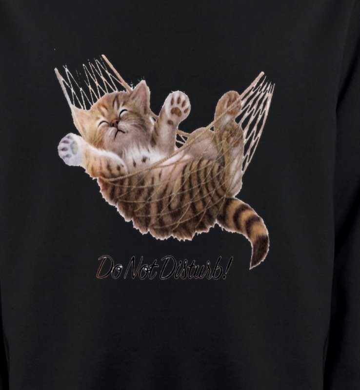 Chaton dans un hamac Do not disturb